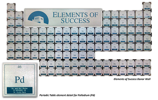 Elements of Success Foundation